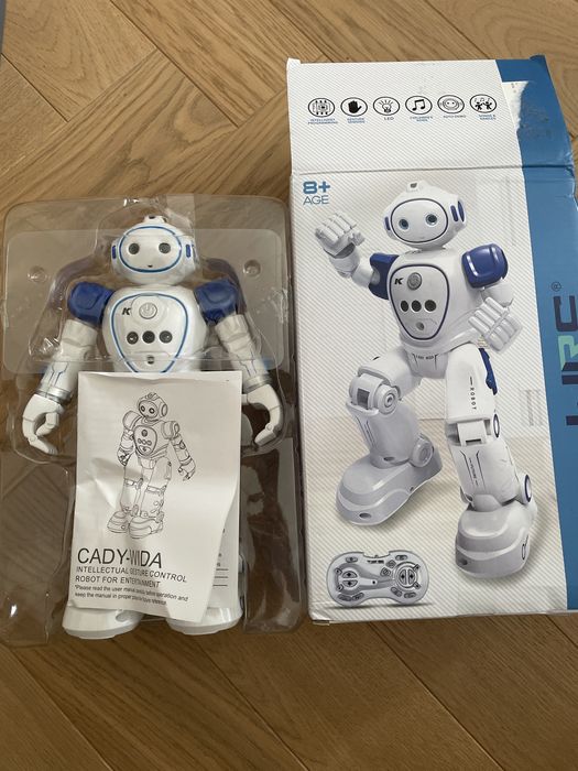 Cady Wida - interaktywny robot