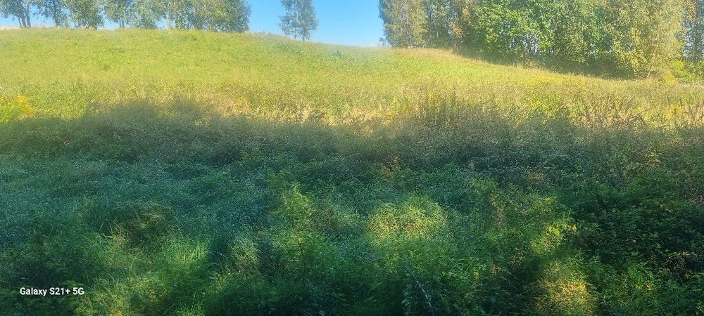 Sprzedam działki rolne - View 3