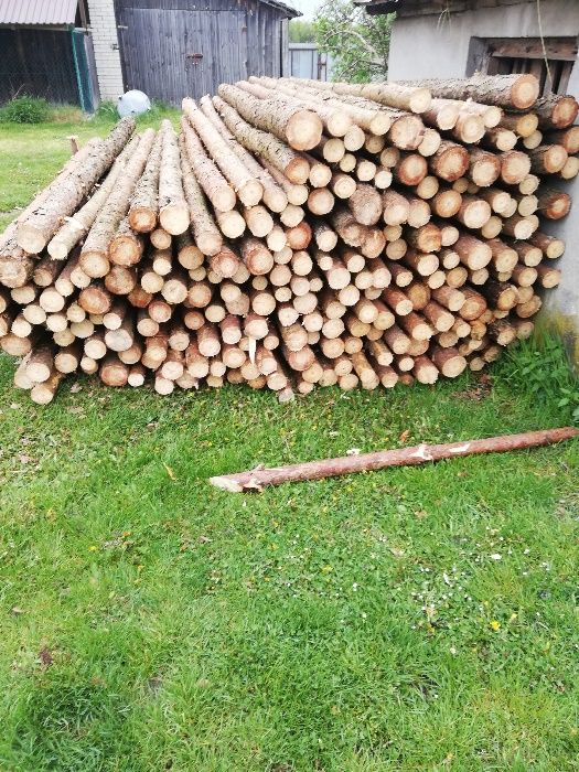 stemple (stęple), korowane, budowlane,  NOWE 2-6m