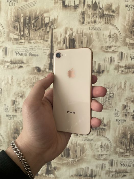 iPhone 8 256 gb 100%