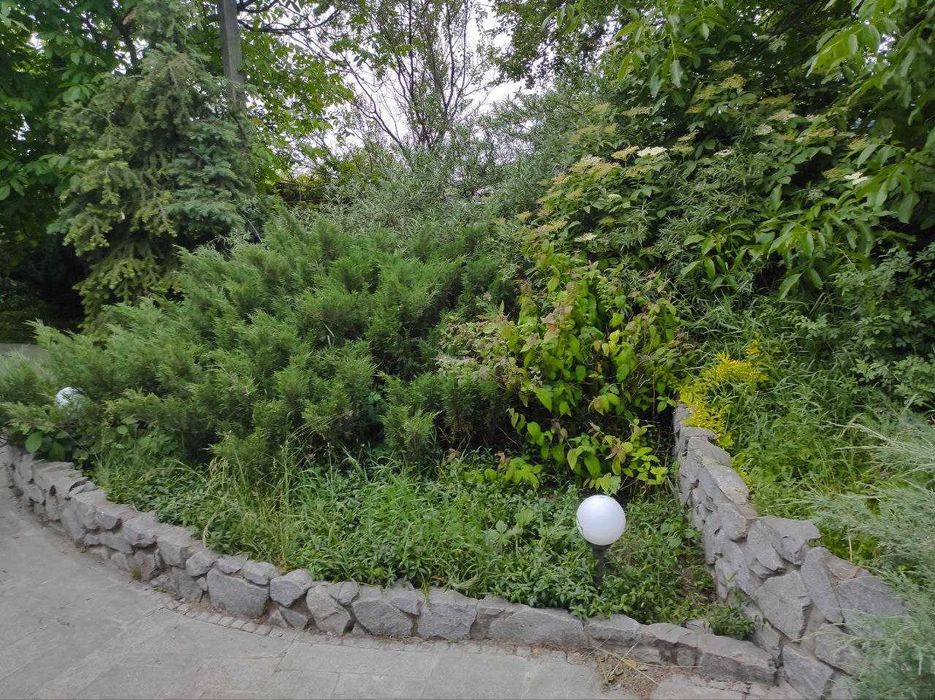 Старий Мерчик. Для сім'ї здається будинок 150м2. та 10+20 соток землі