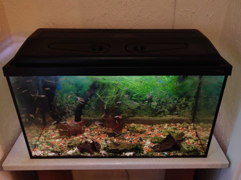 Akwarium 110l ( szkło + pokrywka )