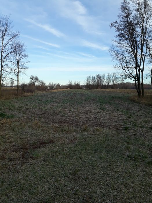 Продам земельну ділянку