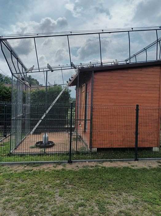 ***Sprzedam gołębnik***