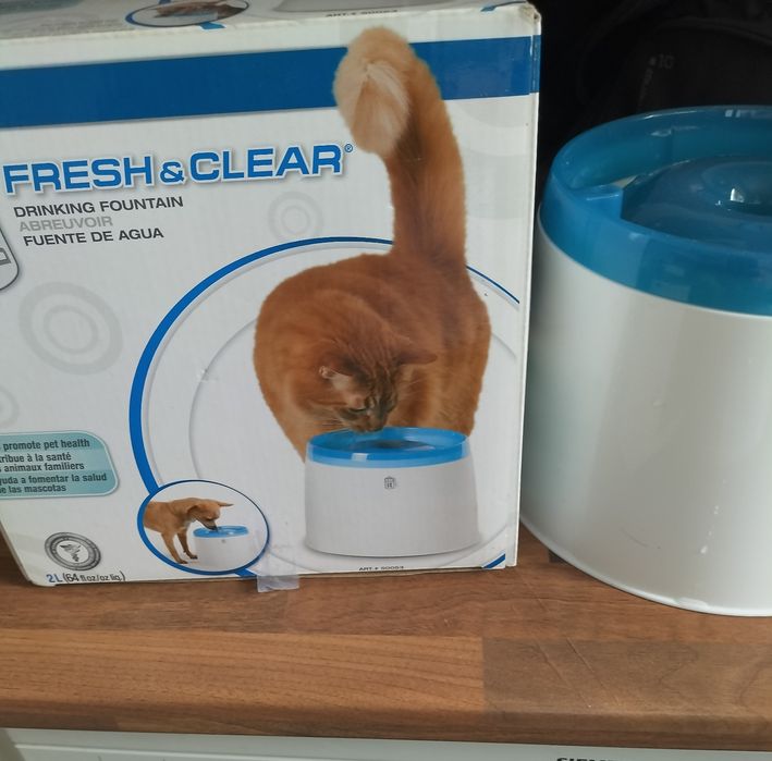 Fonte gato ou cão
