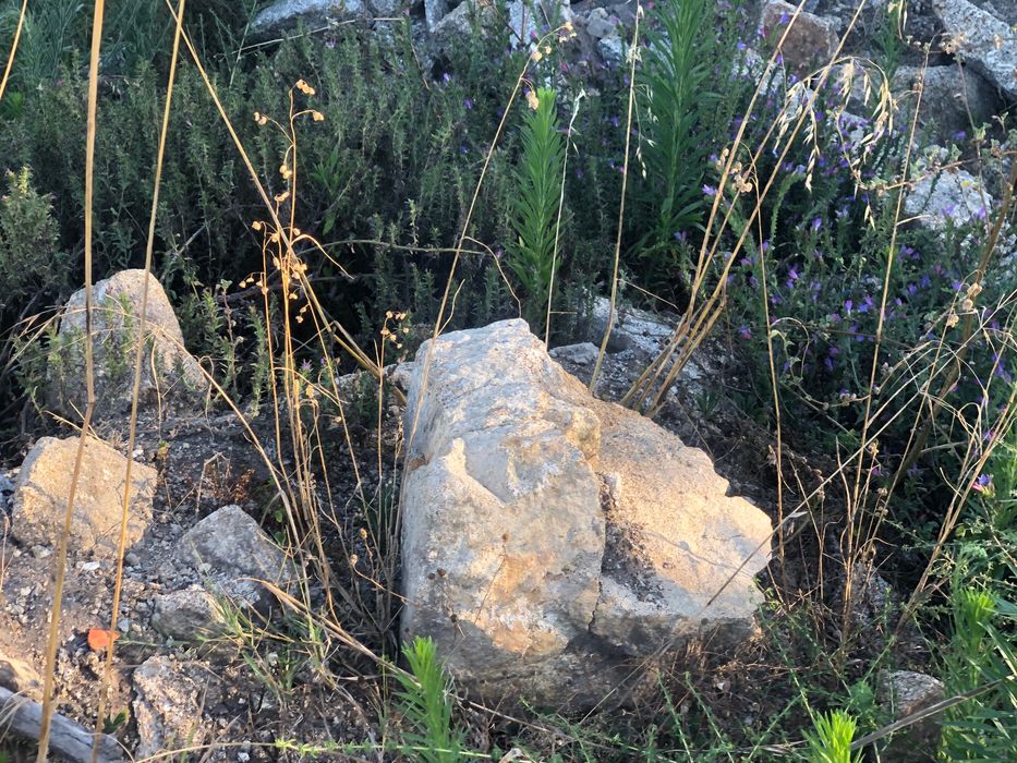 Pedra e Terra de desaterro de lote em Requião VNF
