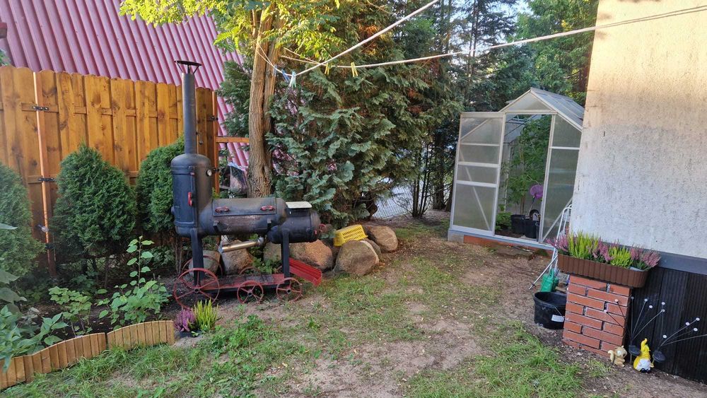 Działka ROD Tryszczyn - przy zaporze - Widok 2