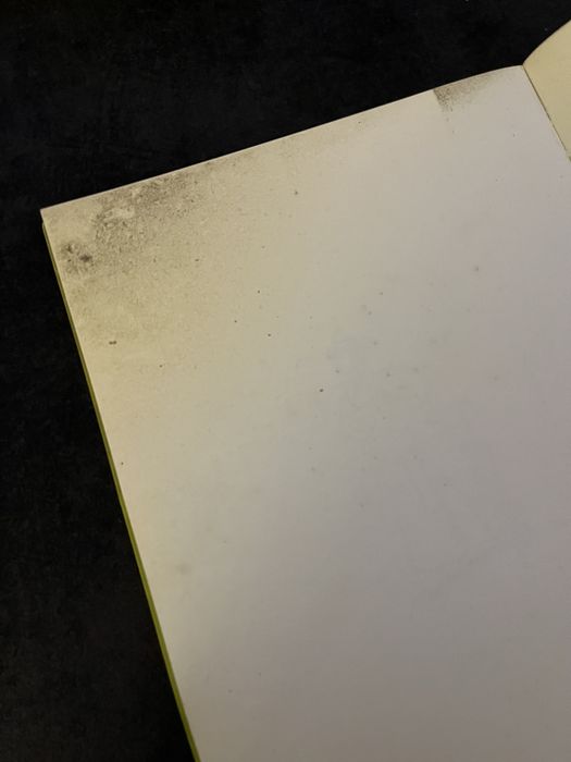 Livro Arte Natureza e a Cidade