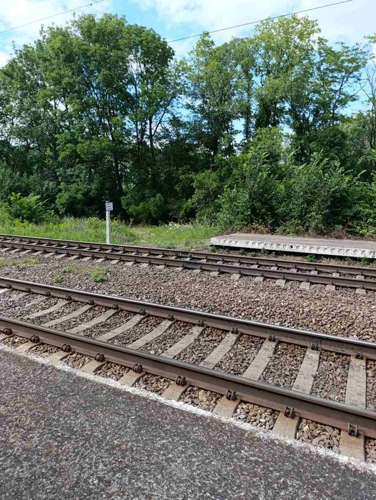 Однокімнатна Кіровоградський район Лісова Поляна