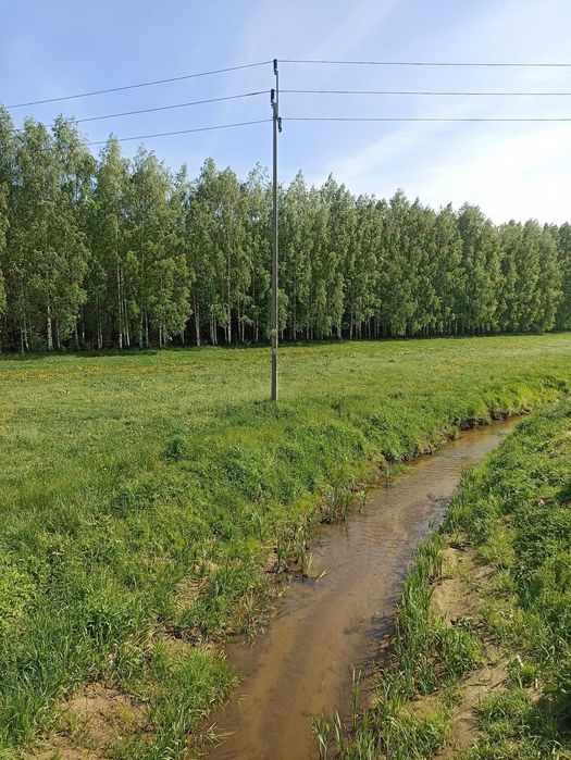 Sprzedam Młody Las 3,10 ha w krasowo - Częstki