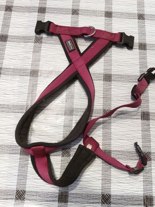 Anione szelki dla psa S/M różowe