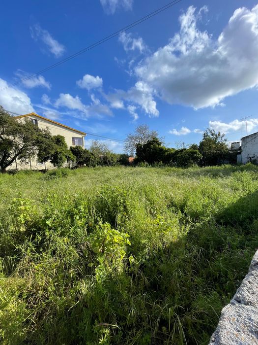 Vendo Terreno em Abrantes