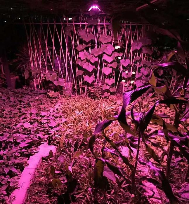 Удобная лампа прожектор для светильник фито цветов ультрафиолетовая