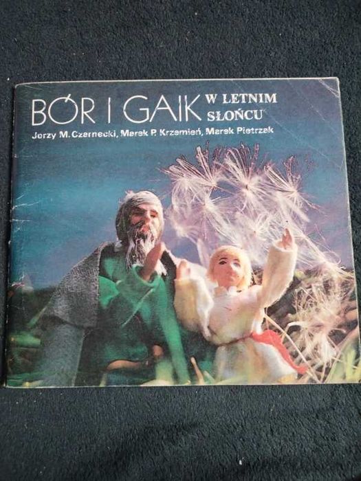 Bór i Gaik w letnim słońcu - Jerzy M.Czarnecki (Książka)