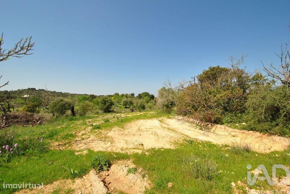 Terreno Agrícola em Paderne