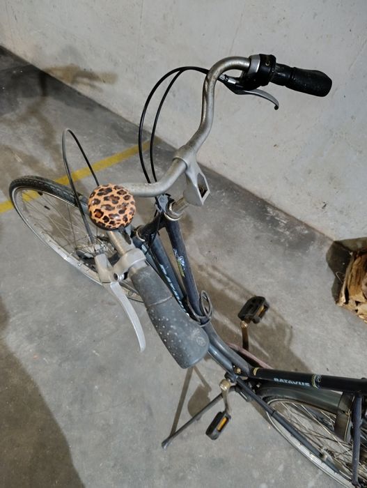 Bicicleta Batavus Holandesa