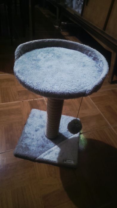 Arranhador de gato