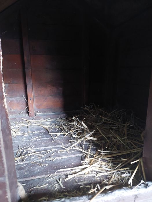 Buda dla psa 72cmdł.