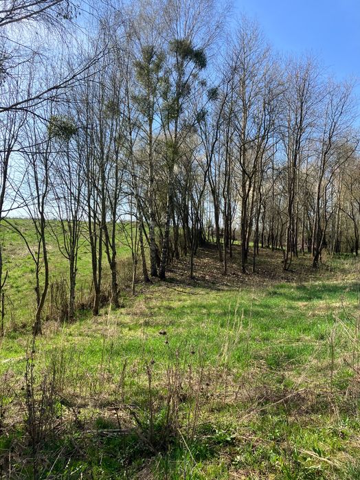 Działka na sprzedaż - Widok 2