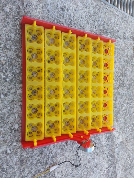 Tabuleiro rotativo para chocadeira