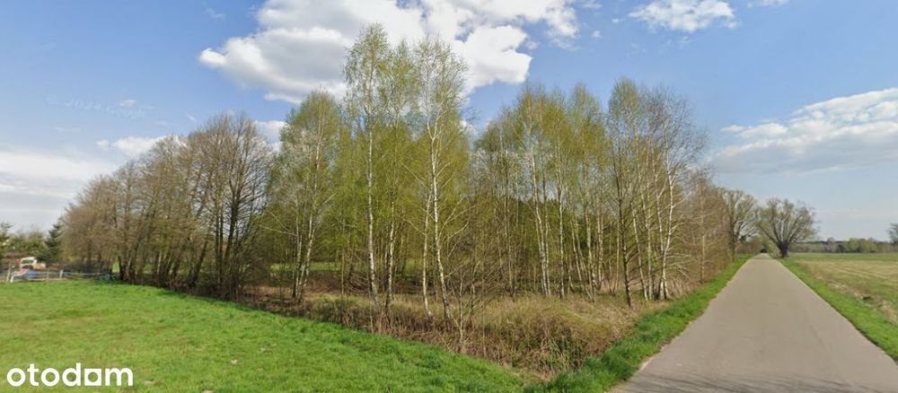 Działka budowlana, gmina Tłuszcz, spokojna okolica, BEZ PROWIZJI - Widok 2