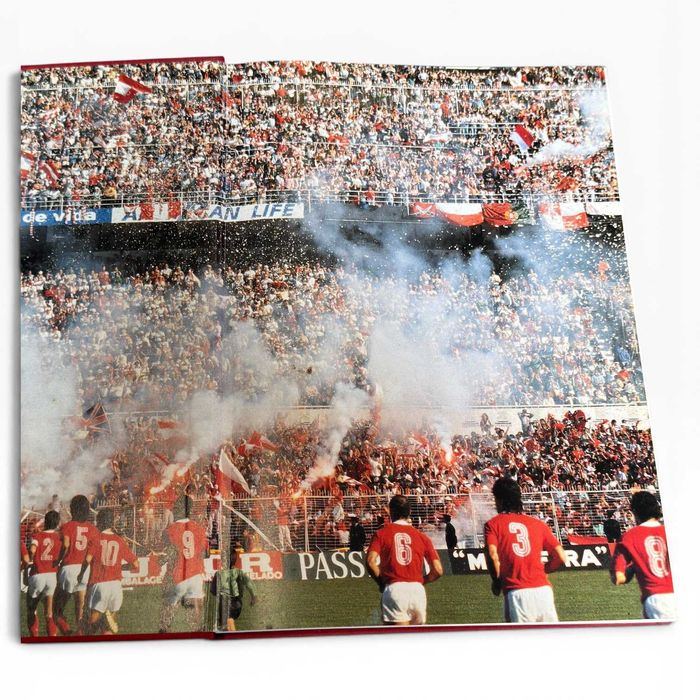Benfica – O Voo da Águia | Álbum 88/89 | Manuel Dias e Carlos Pinhão | Edições ASA