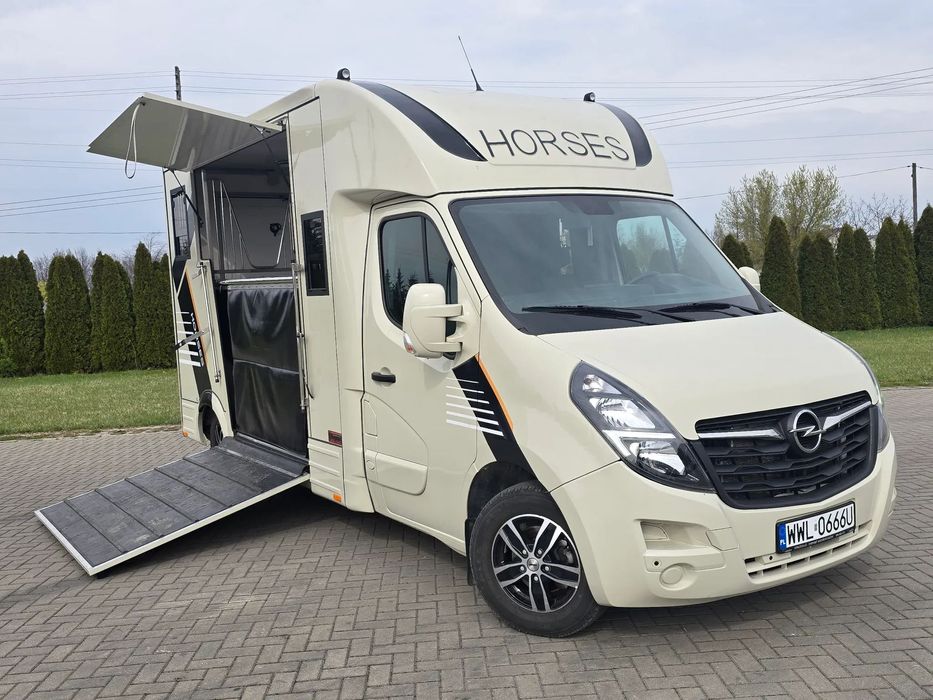 Opel Movano-Koniowóz  Sprzedam Koniowóz. 2 Stanowiska.Kamera Cof.Kamera na Stanowiska