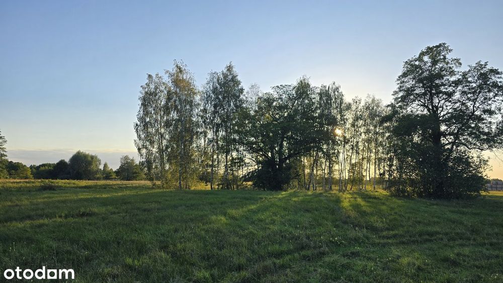 Doskonała propozycja dla Inwestorów
