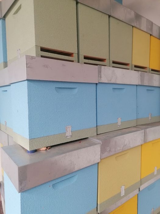 Vendo Núcleos lusitanos novos.