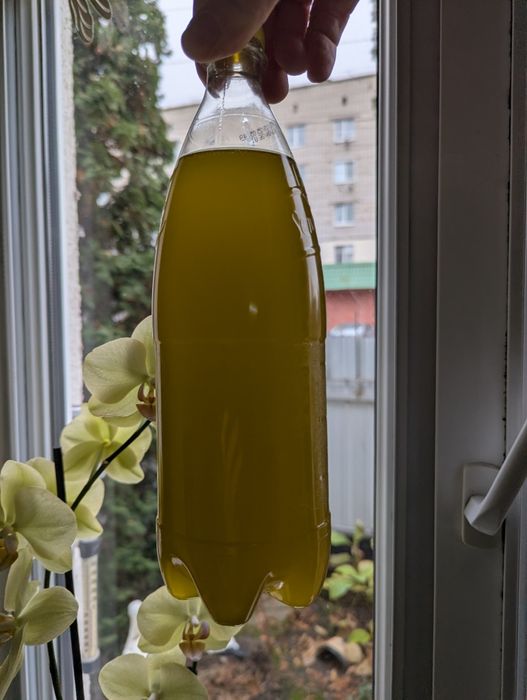 Оливкова олія (Італія)