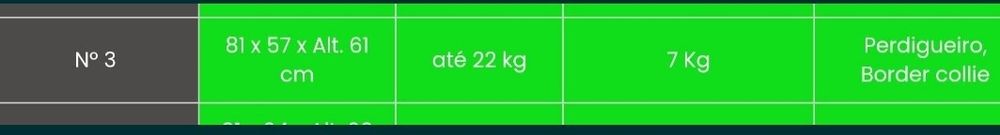 Transportadora como nova