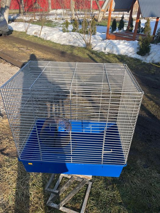 Клітка для гризунів