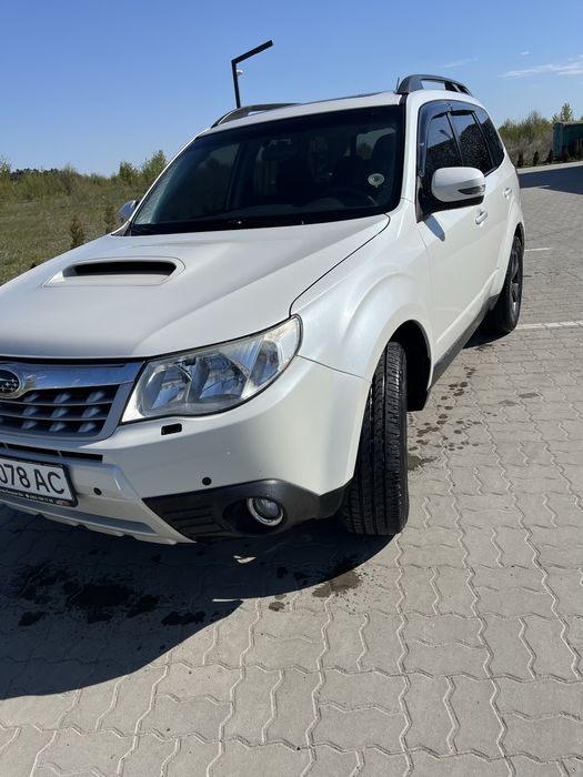 Subaru   forester