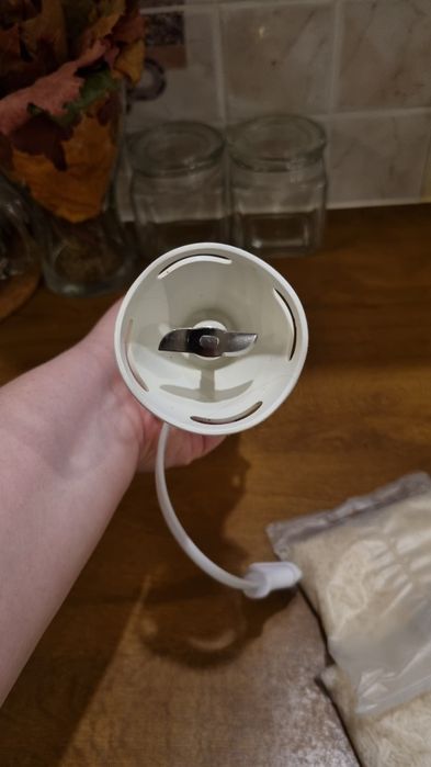 Blender ręczny Bluesky