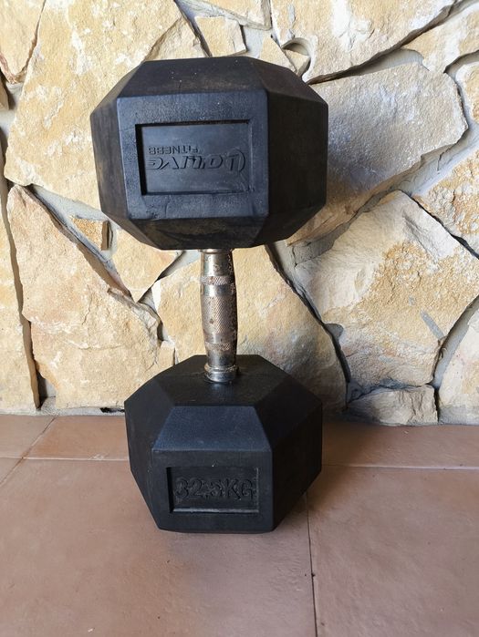 Halter de musculação com 32,5kgs