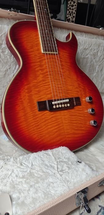 Washburn SBF-80 + Case