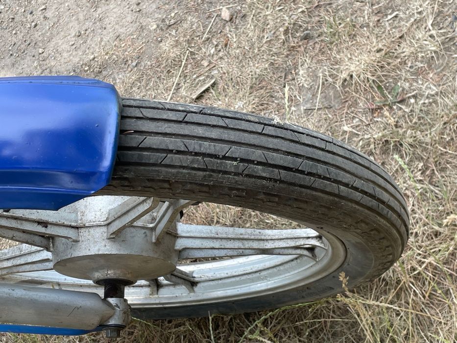 Дельта. В чудовому вигляді