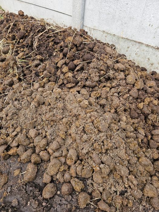 Obornik konski bez slomy