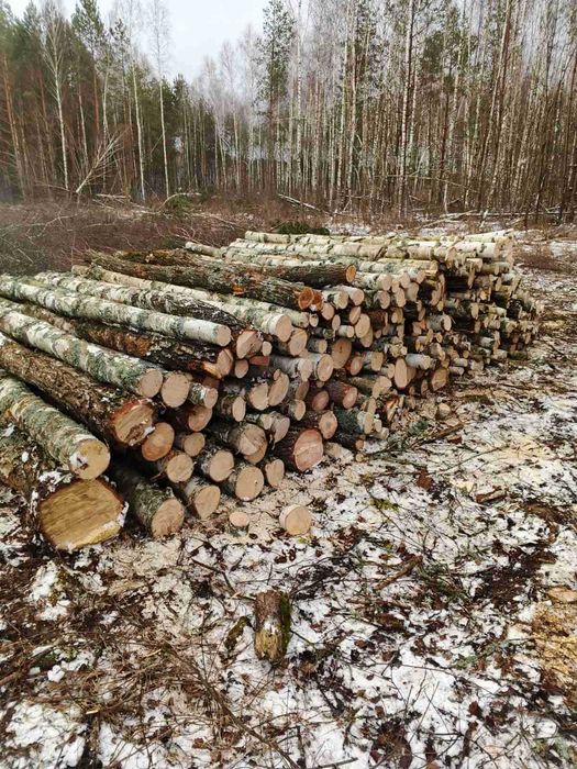 Продам круглі та колоті дрова (сосна, береза, вільха, акація, дуб, осика) 0,3м - 2м