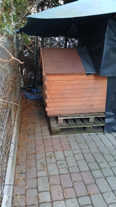 Duża buda dla psa – dobry stan