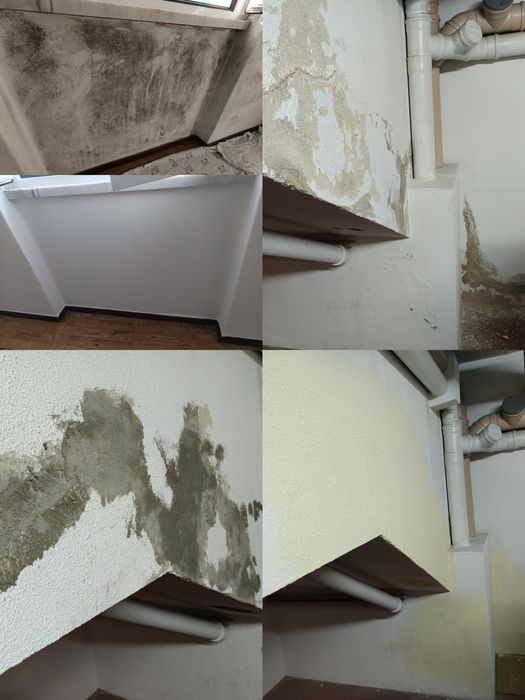 Pintor de interiores e outros