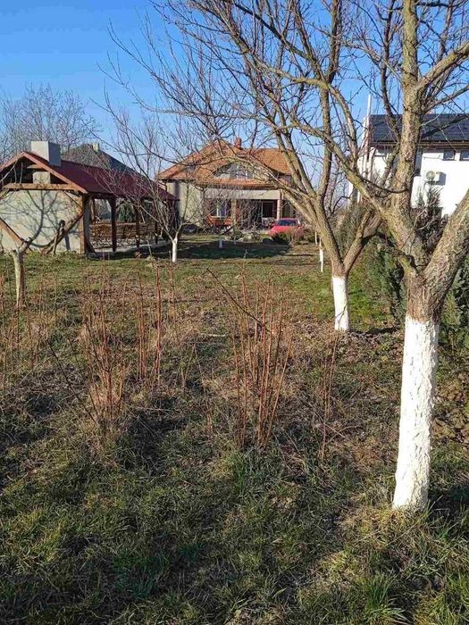 Будинок або кімнати біля термальних вод "КОСИНО" та "ЕКО-ТЕРМАЛ"