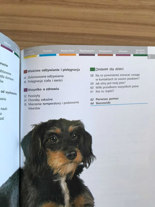 /Behawiorystyka pies psy/ Kundelki Heidi Rogner