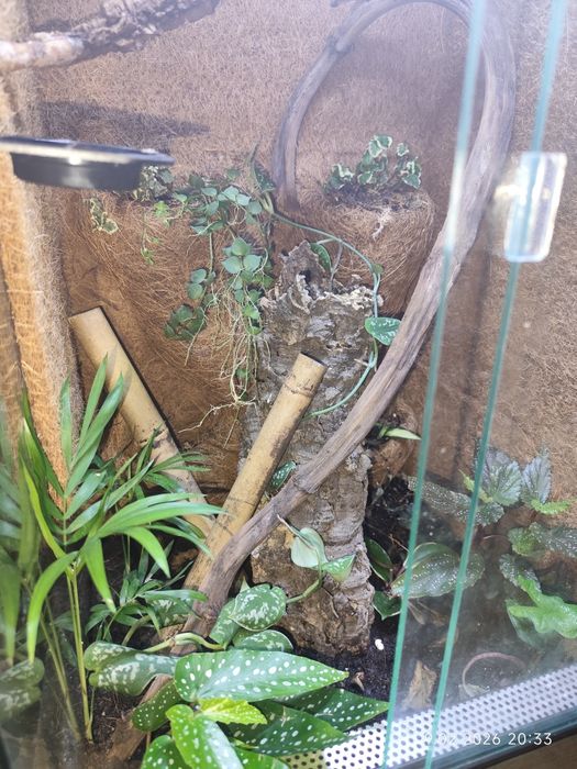 Terrarium 40x40x80 + wyposazenie