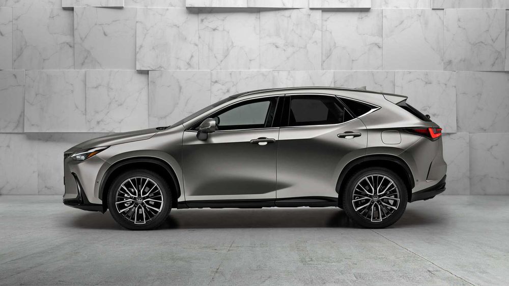 Zdjecie w galerii numer 6