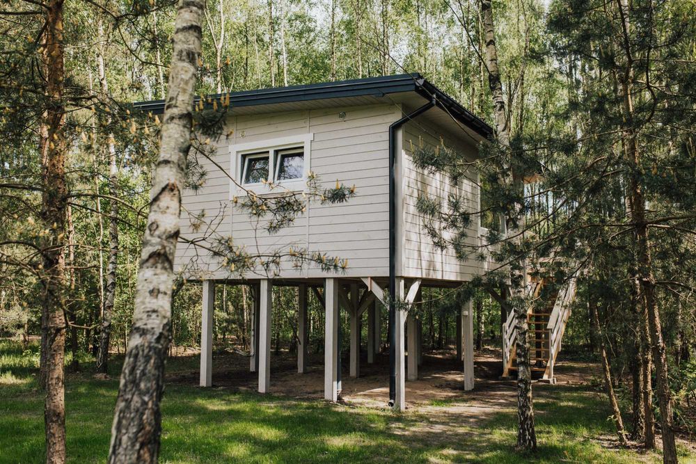 Domki w drzewach blisko Warszawy, 70 m od domku leśne spa.