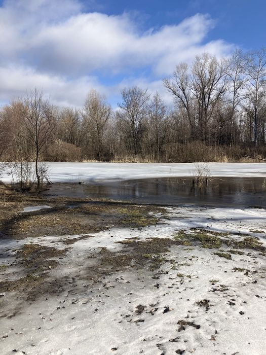 Місце для будинку мріі
