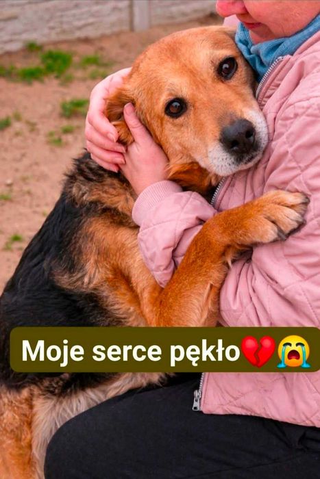 Bella – niewidzialna, delikatna, czekająca na cud