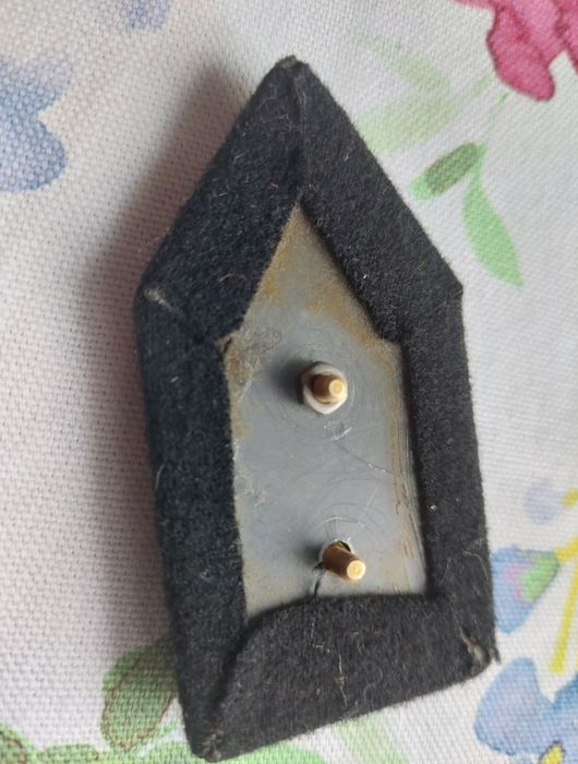 3 Odznaki pułku Dania i patka