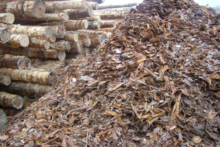 Kora ozdoba dekoracyjna sosnowa ogrodowa